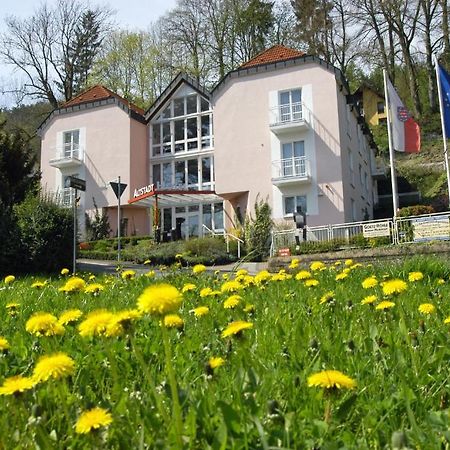 Altstadthotel An Der Werra Meiningen Eksteriør billede