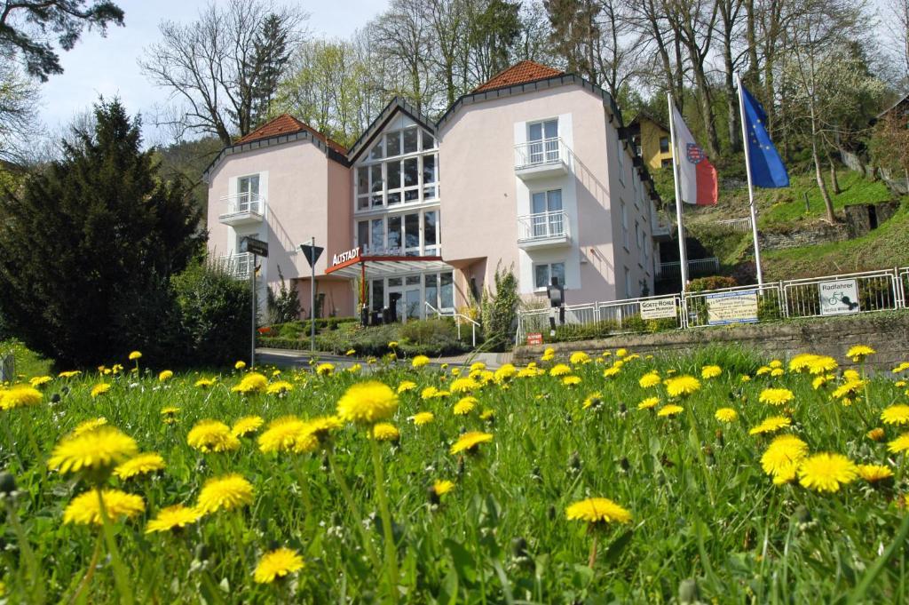 Altstadthotel An Der Werra Meiningen Eksteriør billede
